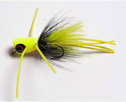 Betts Bee Pop Chart/Black/Yellow Size 8 - MarineQuest Supply