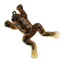 Creme Cricket Brown Baby Frog 2 pack - MarineQuest Supply