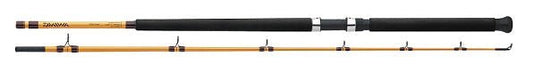 Daiwa FT Surf Spinning Rod 9' 2pc M - MarineQuest Supply