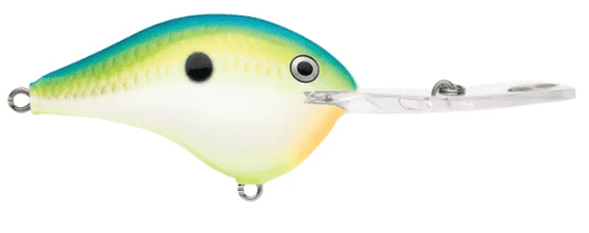 Rapala DT 20' Series Citrus Shad - MarineQuest Supply