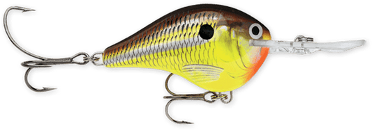Rapala DT Series 10' 3/5oz 2.25in Hot Mustard - MarineQuest Supply