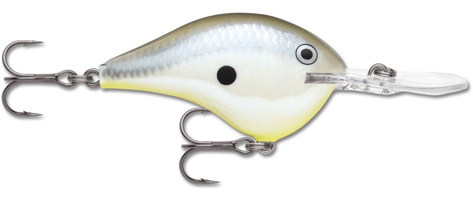 Rapala DT Series 16' Ike - Disco Shad - MarineQuest Supply