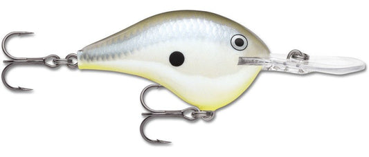 Rapala DT Series 16' Ike - Disco Shad - MarineQuest Supply
