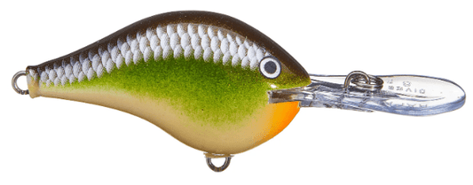 Rapala DT Series 16' Ike - Smash - MarineQuest Supply