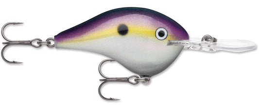 Rapala DT Series 3/4 Big Shad - MarineQuest Supply