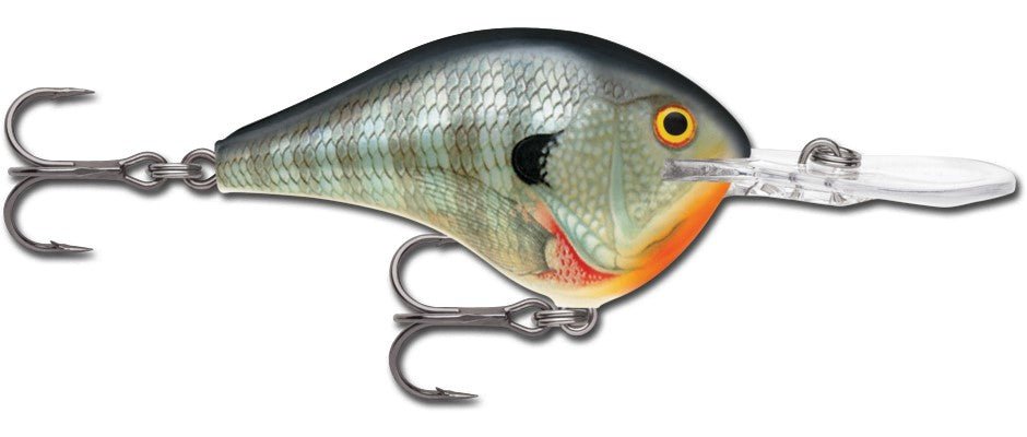 Rapala DT Series 3/4 Blue Gill - MarineQuest Supply