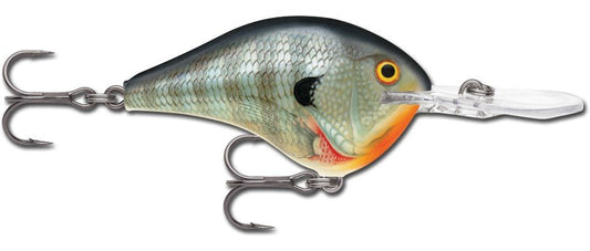 Rapala DT Series 3/4 Blue Gill - MarineQuest Supply