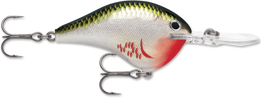 Rapala DT Series 3/8 2" Bleeding Olive Shiner - MarineQuest Supply