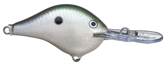 Rapala DT Series 3/8 2" Green Gizzard Shad - MarineQuest Supply