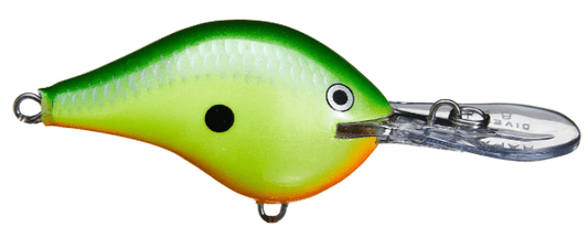 Rapala DT Series 3/8 2" Rasta - MarineQuest Supply