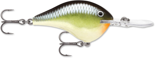 Rapala DT Series 3/8 2" Smash - MarineQuest Supply