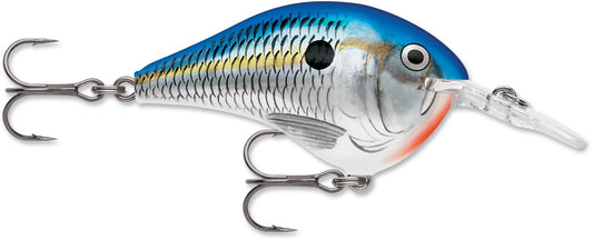 Rapala DT Series 6' 3/8 2" Blue Shad - MarineQuest Supply
