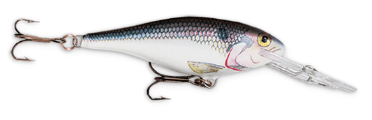 Rapala Shad Rap 2 3/4" 1/4 Shad - MarineQuest Supply