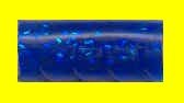 Sizmic Sassy Toad Jr 8ct Saphire Blue - MarineQuest Supply