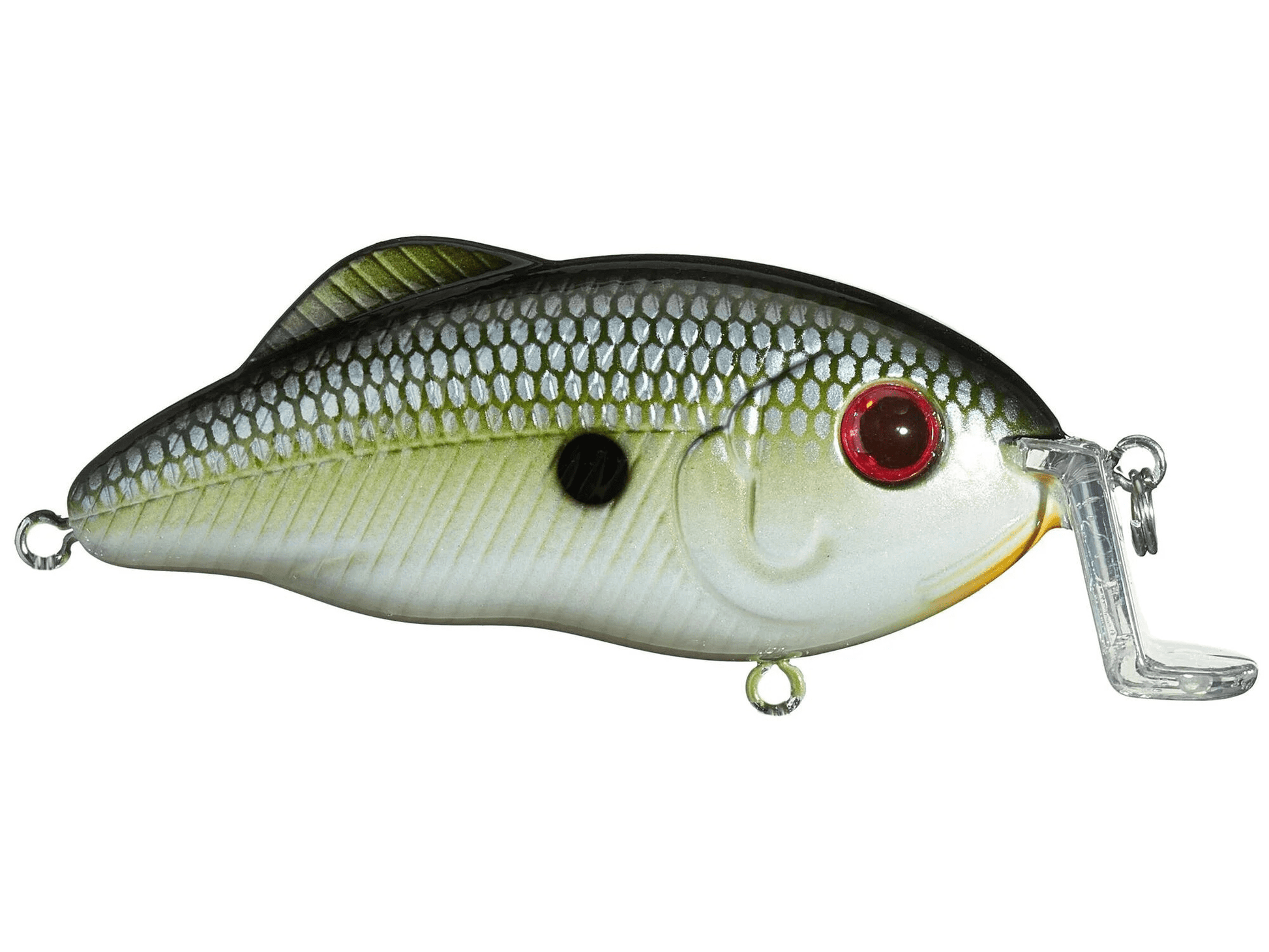 Strike King Hybrid Hunter Jr Shallow 7/16oz 3in Muh Knee Shad - MarineQuest Supply