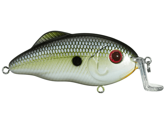 Strike King Hybrid Hunter Jr Shallow 7/16oz 3in Muh Knee Shad - MarineQuest Supply