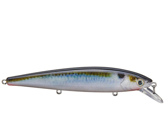 Strike King KVD Jerkbait 3 Hook 5.5in Natural Shad - MarineQuest Supply