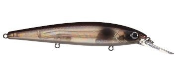 Strike King KVD Jerkbait 3 Hook 5.5in Pro Black - MarineQuest Supply