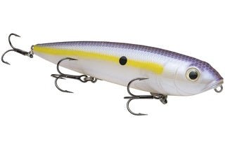 Strike King KVD Sexy Dawg 4.5in 7/8oz Chart Shad - MarineQuest Supply