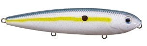 Strike King KVD Sexy Dawg Hard Knock 4.5in 5/8oz Sexy Shad - MarineQuest Supply