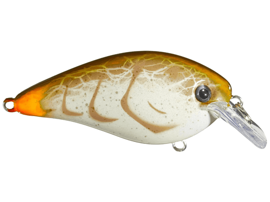 Strike King KVD Square Bill 7/16oz Bone Craw - MarineQuest Supply