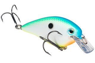 Strike King KVD Square Bill 7/16oz Citrus Shad - MarineQuest Supply