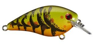 Strike King KVD Square Bill 7/16oz Green Pmpkin - MarineQuest Supply