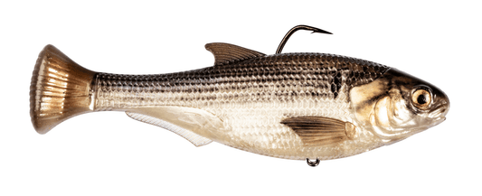 Z - MAN Shadtron LT4.5in. Fast Sink Gizzard Shad - MarineQuest Supply