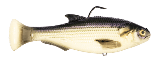 Z - MAN Shadtron LT4.5in. Slow Sink Fishbone - MarineQuest Supply