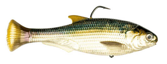 Z - MAN Shadtron LT6in. Fast Sink Blueback Herring - MarineQuest Supply