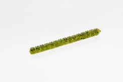 Zoom Centipede 4in 20/bag Watermelon Seed - MarineQuest Supply