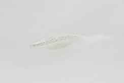 Zoom Super Fluke Jr 4in 10/bag White Ice - MarineQuest Supply
